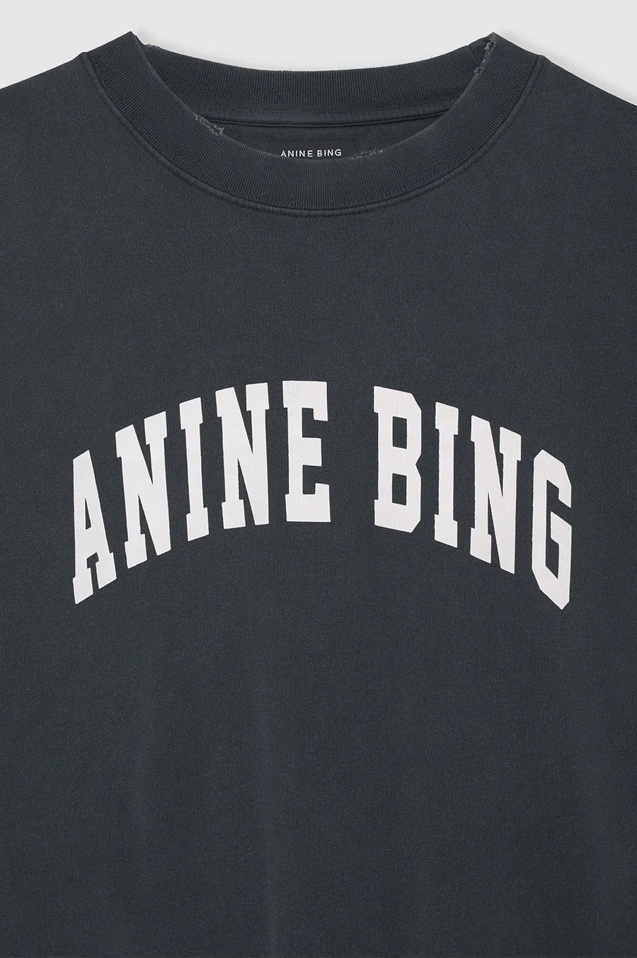 Anine Bing Tyler Sweatshirt – AshleyCole Boutique